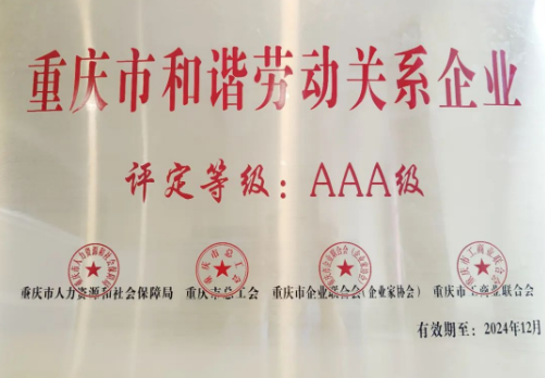 重慶中訊控股集團榮獲重慶市和諧勞動關系AAA級企業(yè)稱號